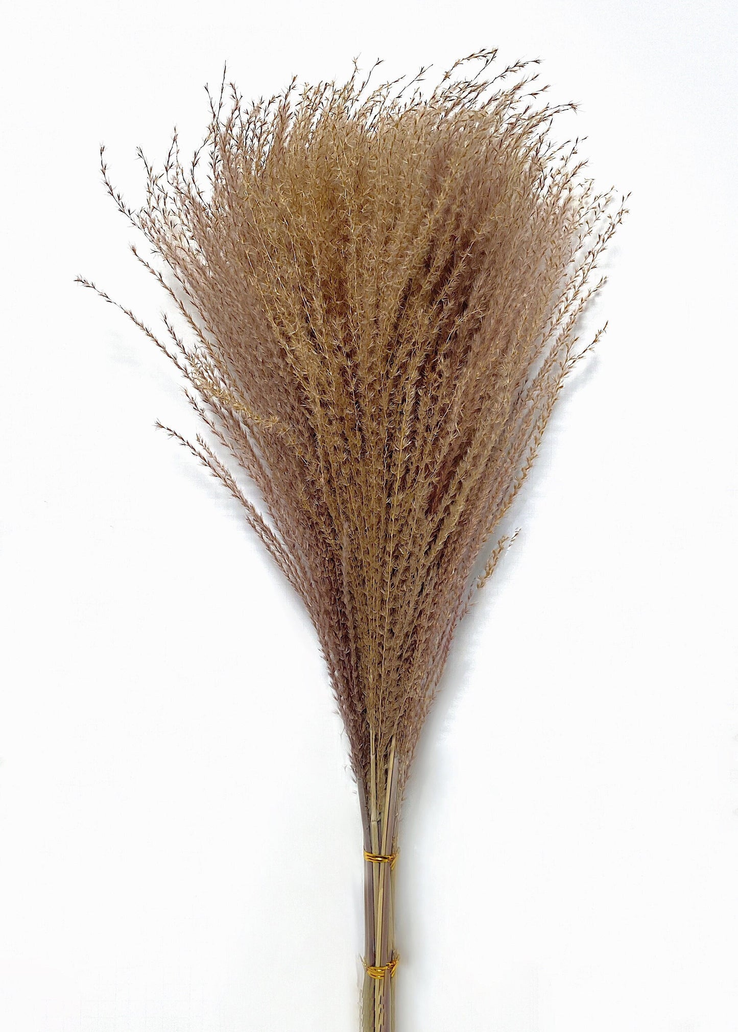 Pampas Grass Horsetail Whisk, Preserved Flowers, House Decor, Wedding, Pampas, Fluffy, Natural, Fall, Feather, Wheats and Grass, Short, Long