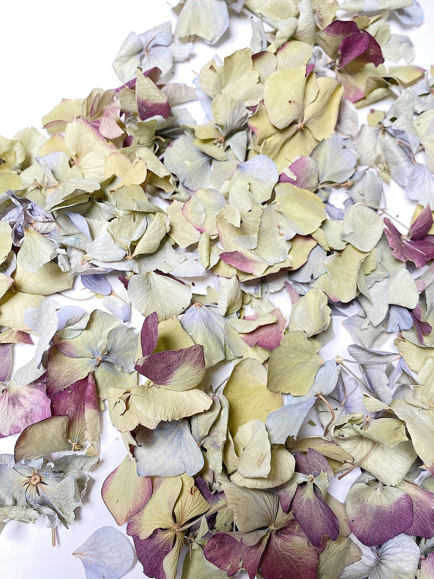 Hydrangea Confetti, Potpourri, Dried Petals, Wedding, Filler, Dried Flowers, Decor, Green, Blue, Burgundy, Arts and Craft, Wildflowers