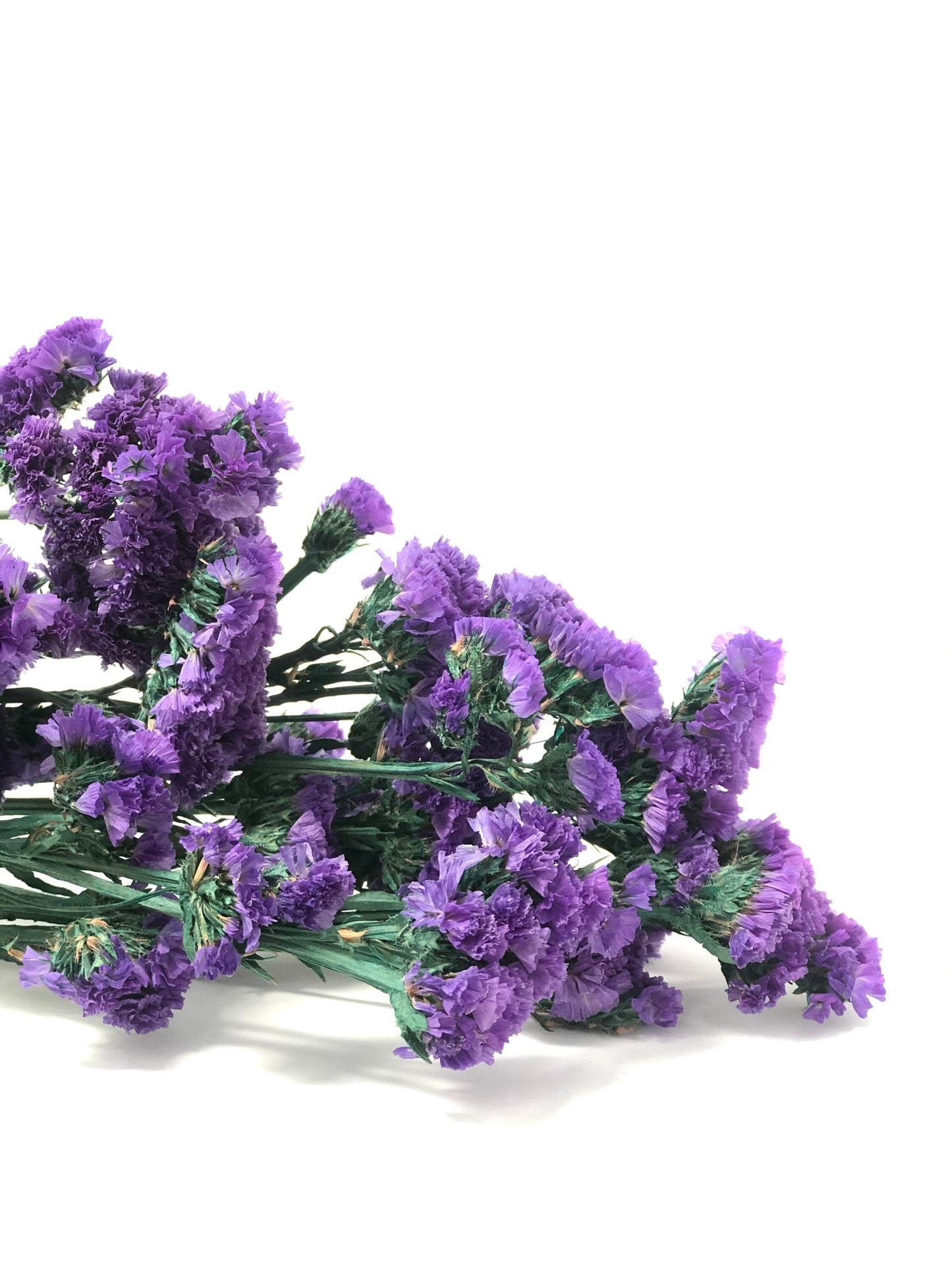 Sinuata Statice, Limonium Sinuatum, Pink, Rose, Blue Statice, Blue, White, Dried, Preserved Flowers Real Flowers Wedding Flowers Bouquet