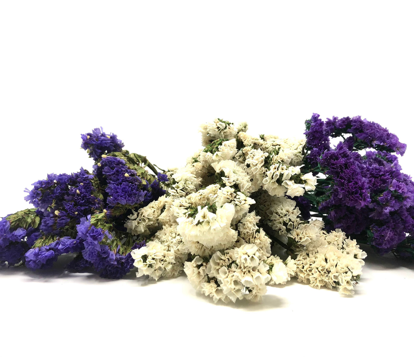 Sinuata Statice, Limonium Sinuatum, Pink, Rose, Blue Statice, Blue, White, Dried, Preserved Flowers Real Flowers Wedding Flowers Bouquet