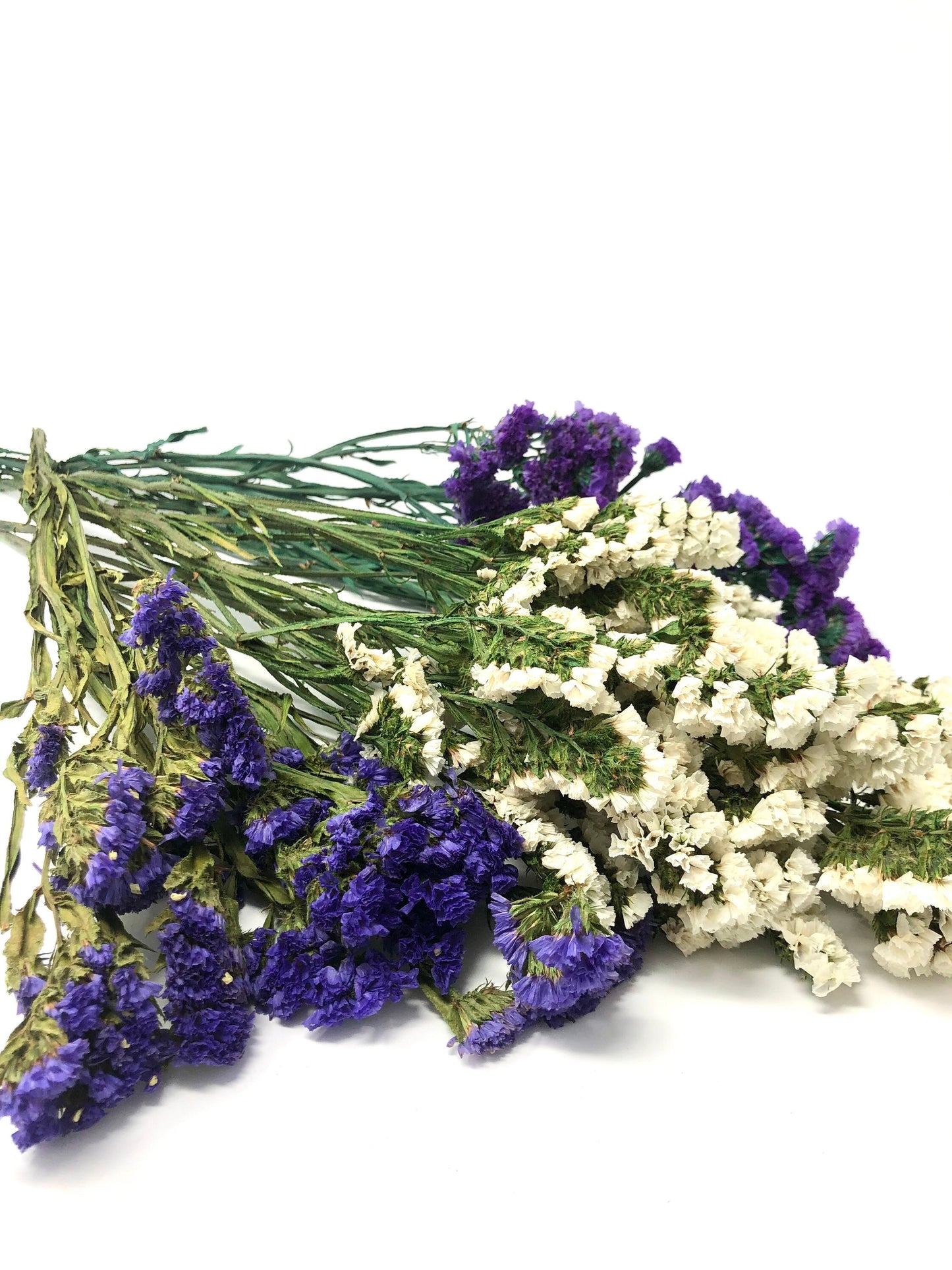 Sinuata Statice, Limonium Sinuatum, Pink, Rose, Blue Statice, Blue, White, Dried, Preserved Flowers Real Flowers Wedding Flowers Bouquet