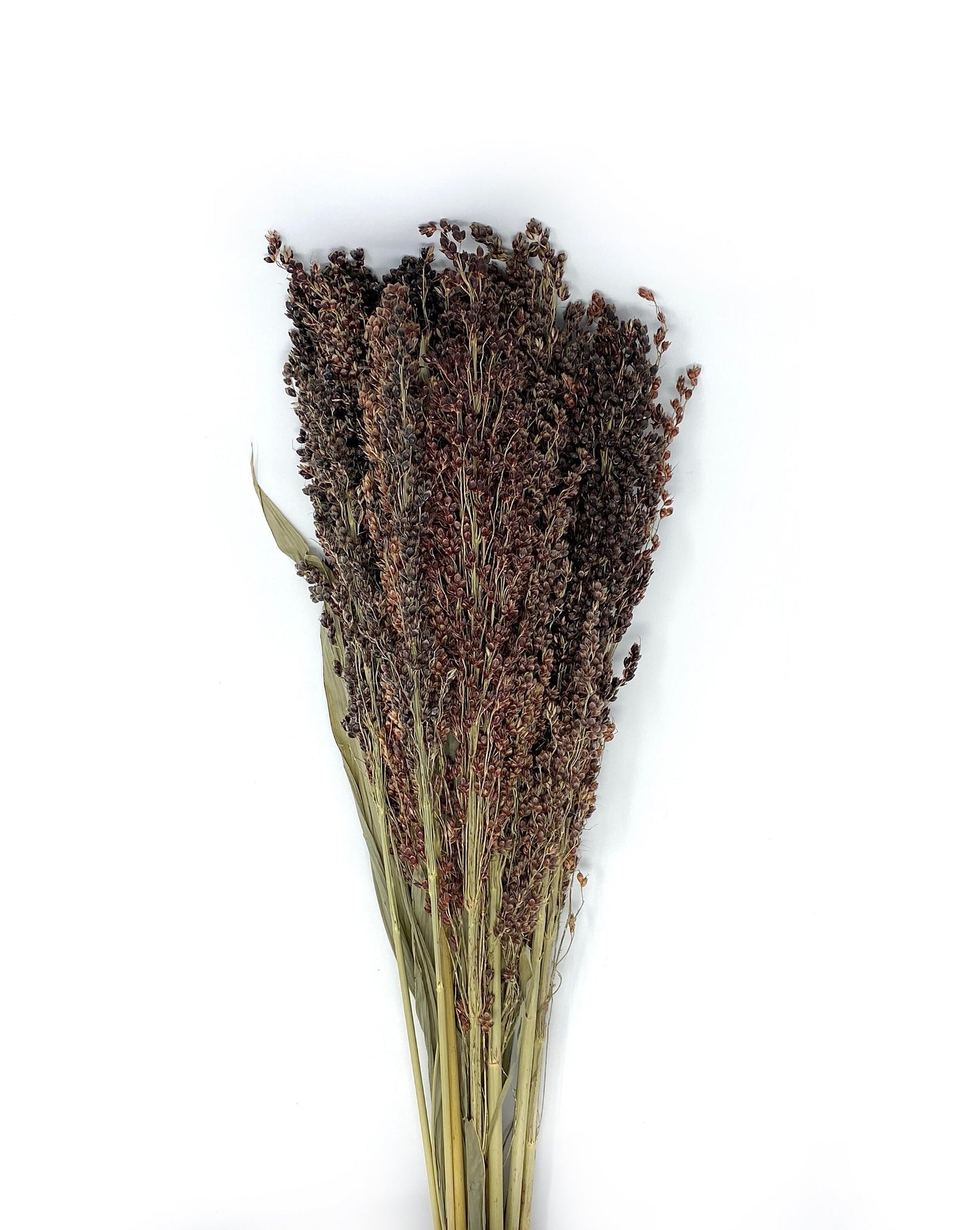 Black Sorghum, Preserved Wheat, Preserved Flowers, Dried Wheat, House Decoration, Wedding Flowers, Country Style, Black, Wheats and Grass