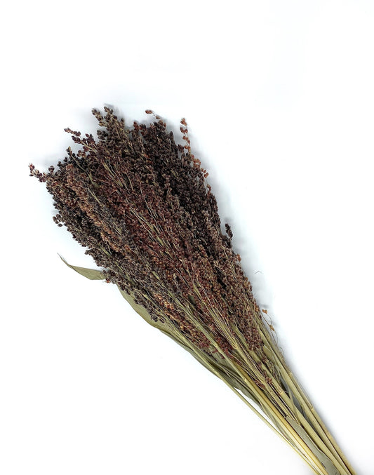 Black Sorghum, Preserved Wheat, Preserved Flowers, Dried Wheat, House Decoration, Wedding Flowers, Country Style, Black, Wheats and Grass