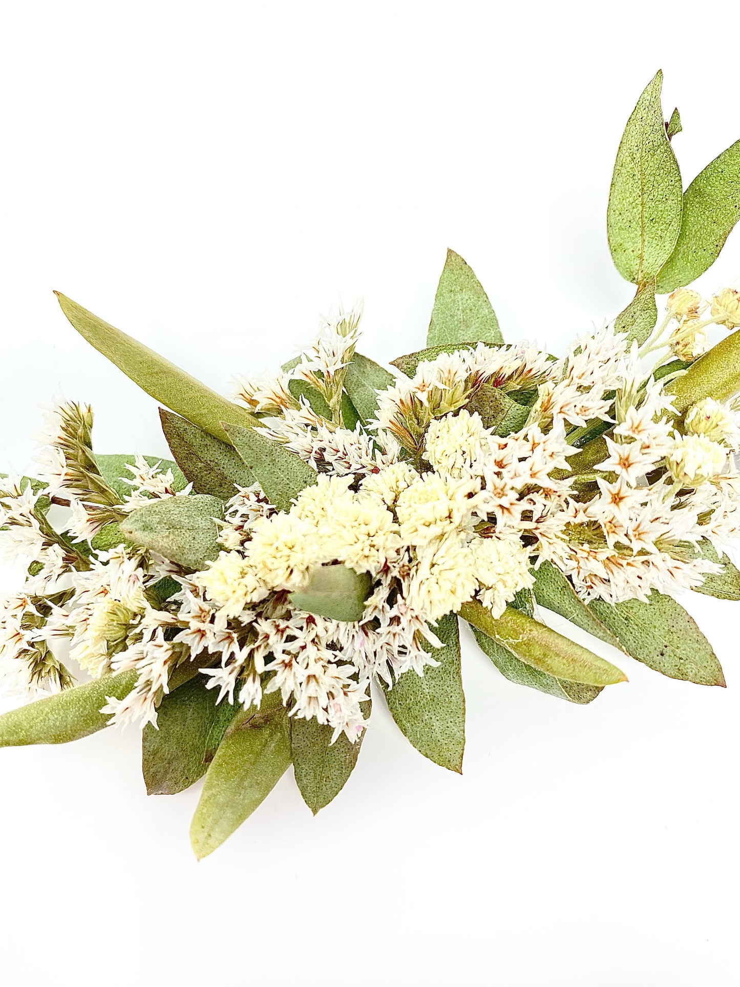 Hair Clip, Dried Flowers, Bridal, Hair Accessories, Wedding Accessories, Greenery, Achillia of Pearl, White and Green