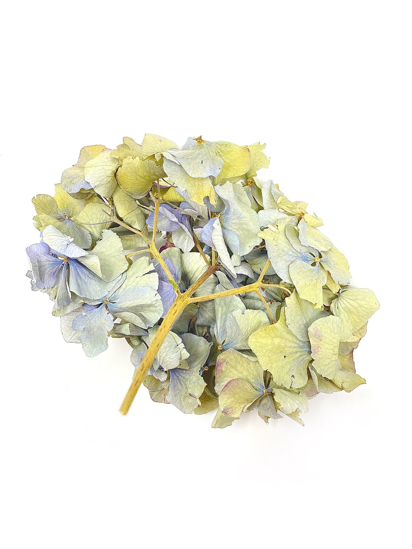 Dried Hydrangea Flat Heads, Stemless hydrangea, Dry Flowers, Blue, Green, Purple, Natural, Wedding, Bouquet, Bridal, DIY, Photo Promps, Mix