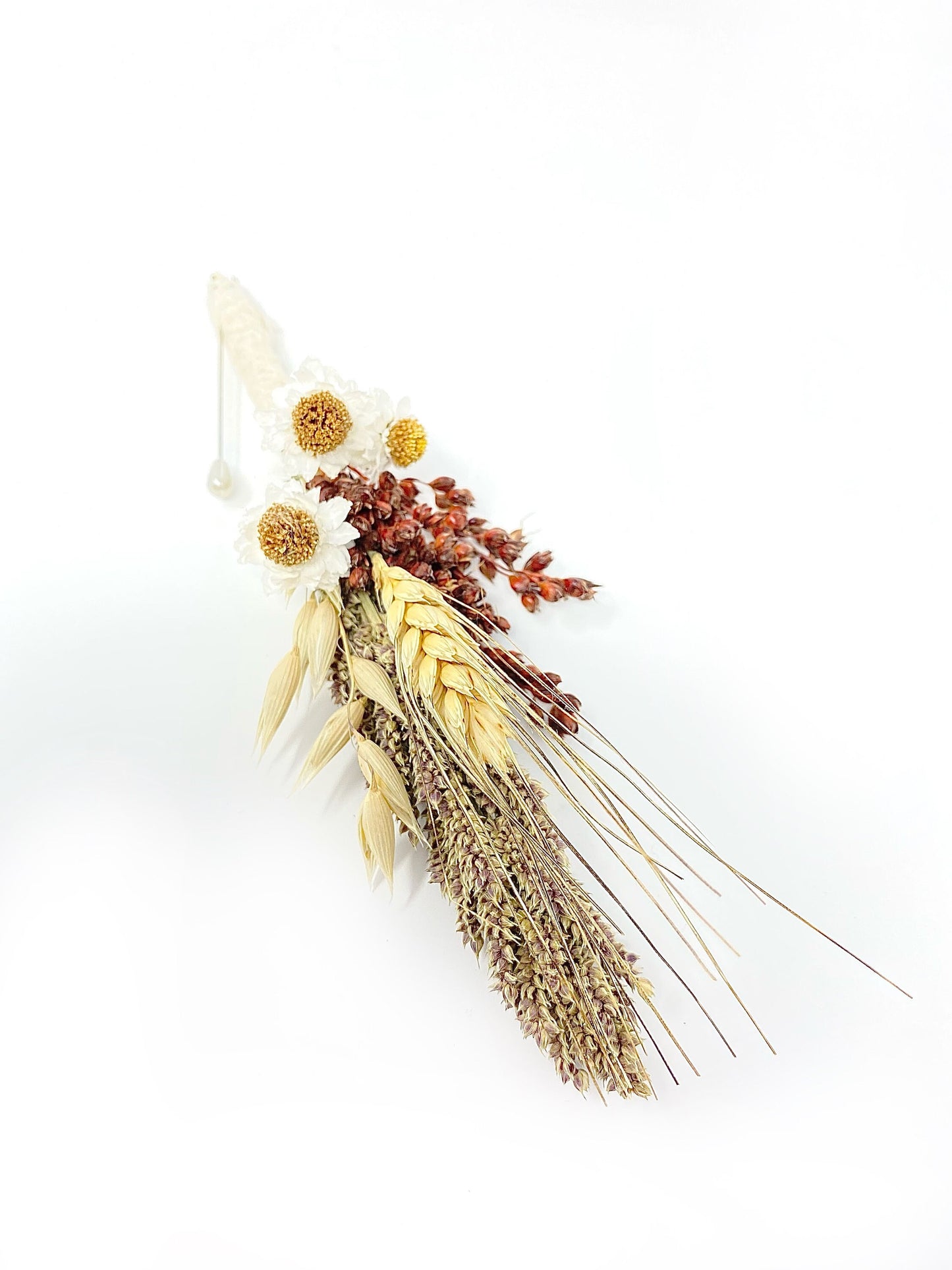 Wedding Boutonniere, Preserved Flowers, Dried Floral, Bridal Accessories, Ammobium, Broom Corn, Beige and Red