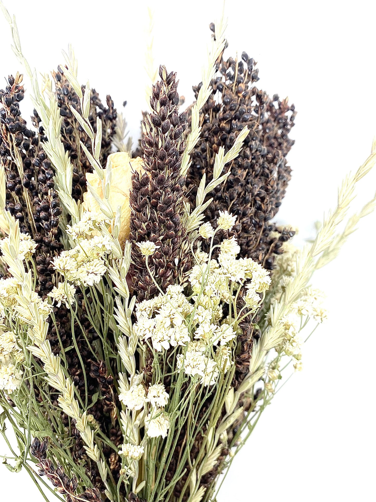 Wedding Bouquet, Dried Flowers, Preserved, Bridal, Cream, White Peony, Achillea of Pearl, Arrow Grass, Black Sorghum, Cream