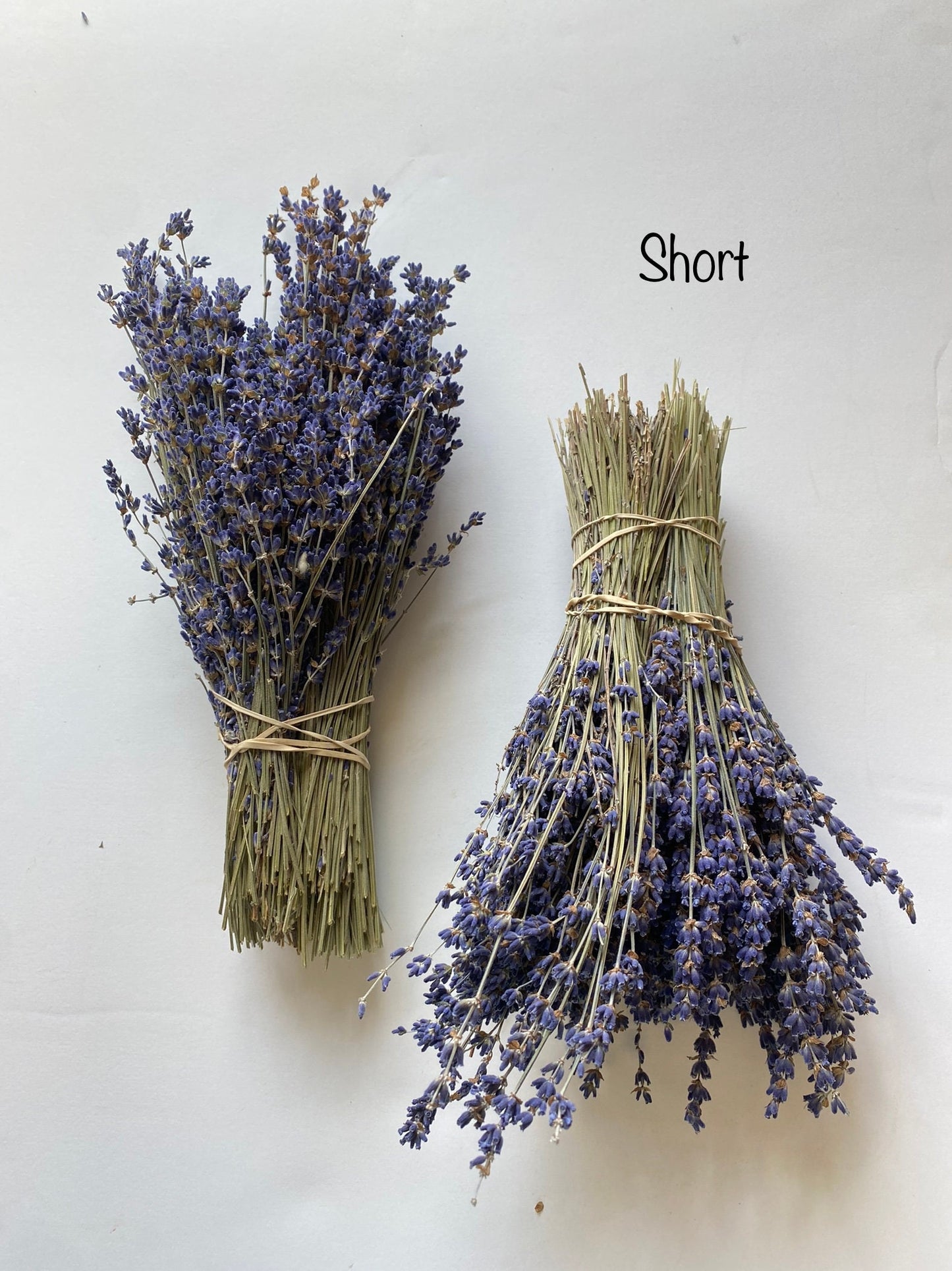 Dried English Lavender Bunch – 200-250 Stems, 3 oz, Preserved for Longevity, Blue-Purple Color, Fragrant, Perfect for Weddings & Home Décor