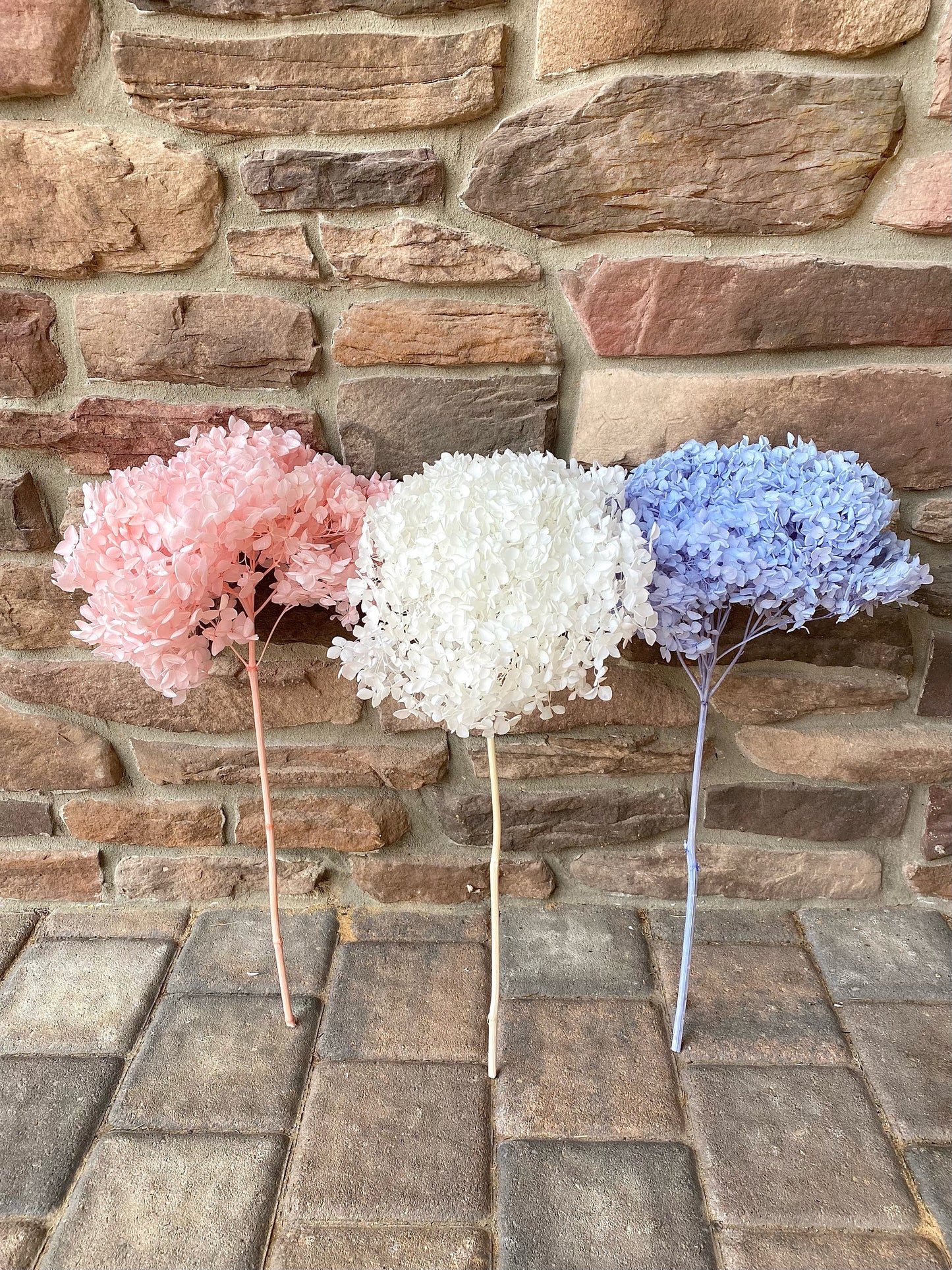 Hydrangea, Premium, Fluffy, White, Pink, Blue, Filler, House Decor, Bleached, Bridal, Preserved, Baby Shower, Colorful