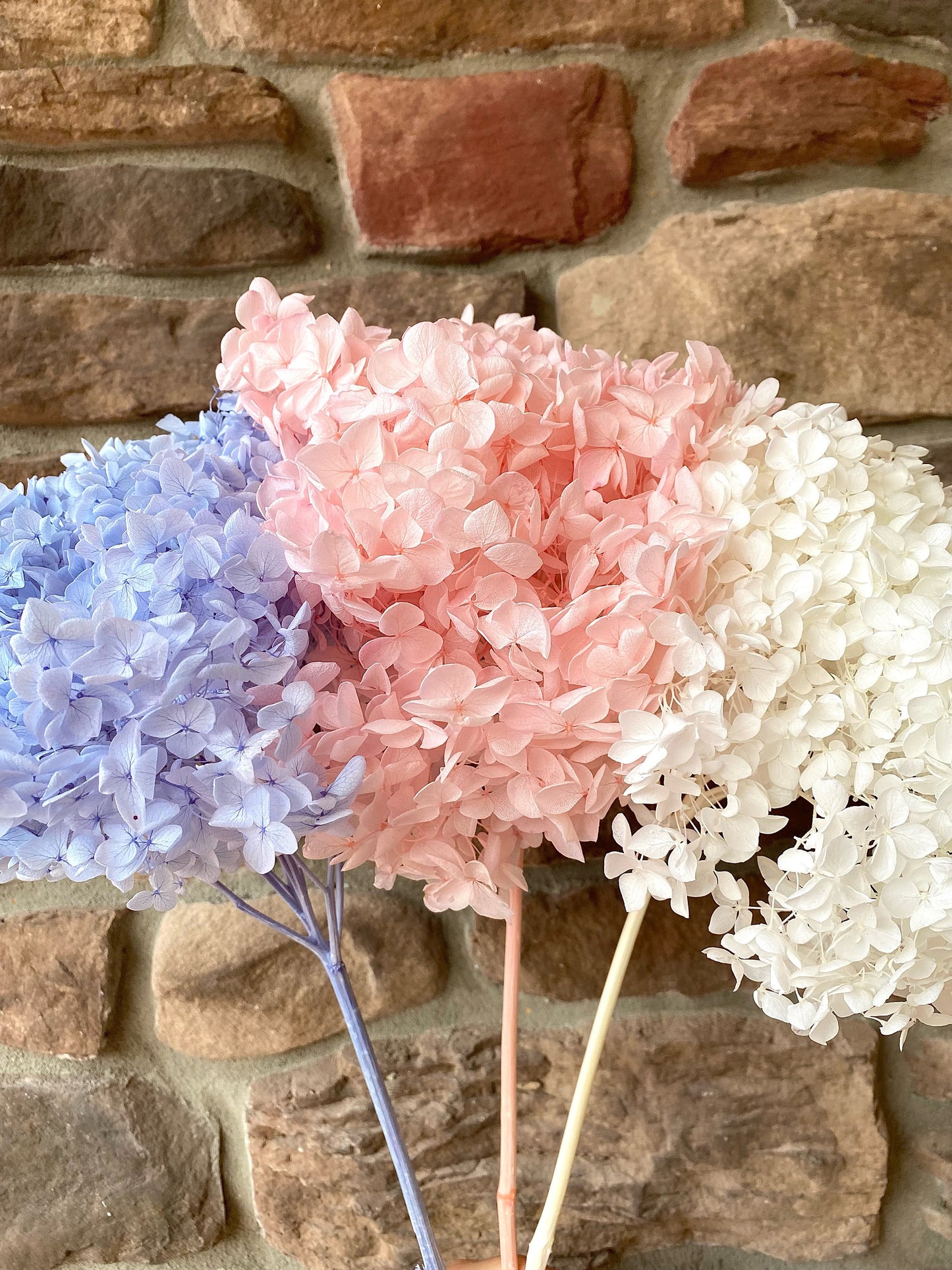 Hydrangea, Premium, Fluffy, White, Pink, Blue, Filler, House Decor, Bleached, Bridal, Preserved, Baby Shower, Colorful