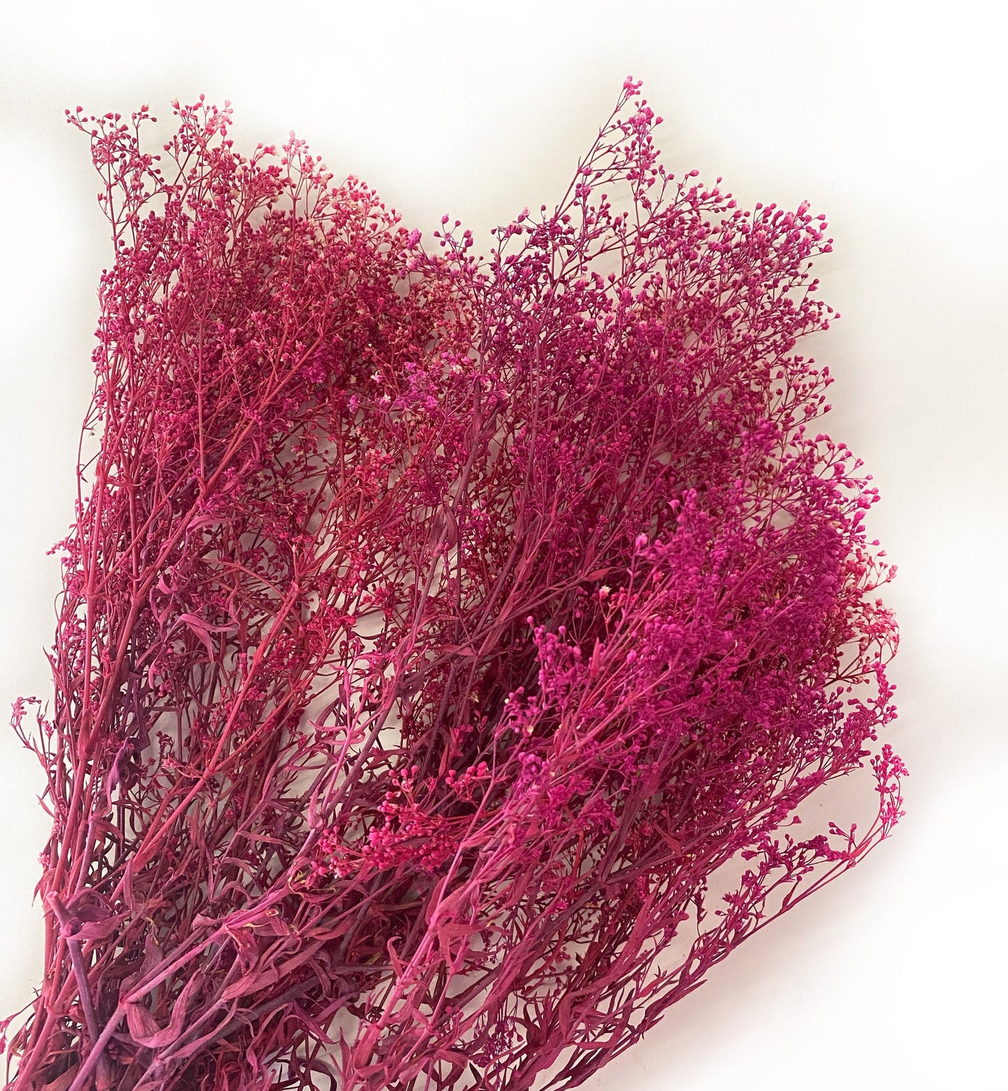 Mini Gyp, Filler Flowers, Preserved Flowers, Flowers, Red, Tan, Orange, Dried Flowers, Home Decor, Decoration, Wedding Bouquet, Baby Breath