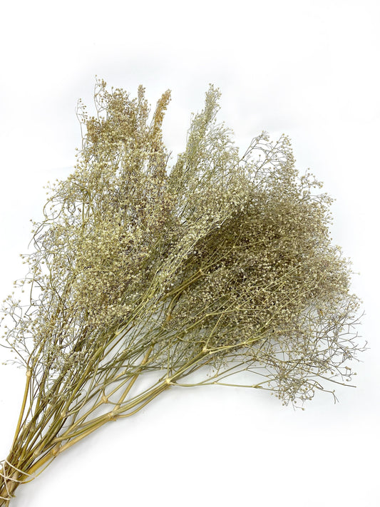 Babies Breath, Dry Flowers, White, Green, Wedding Bouquet, Home Decor, Dried Flowers, Wildflowers, Farmhouse, Filler Flowers