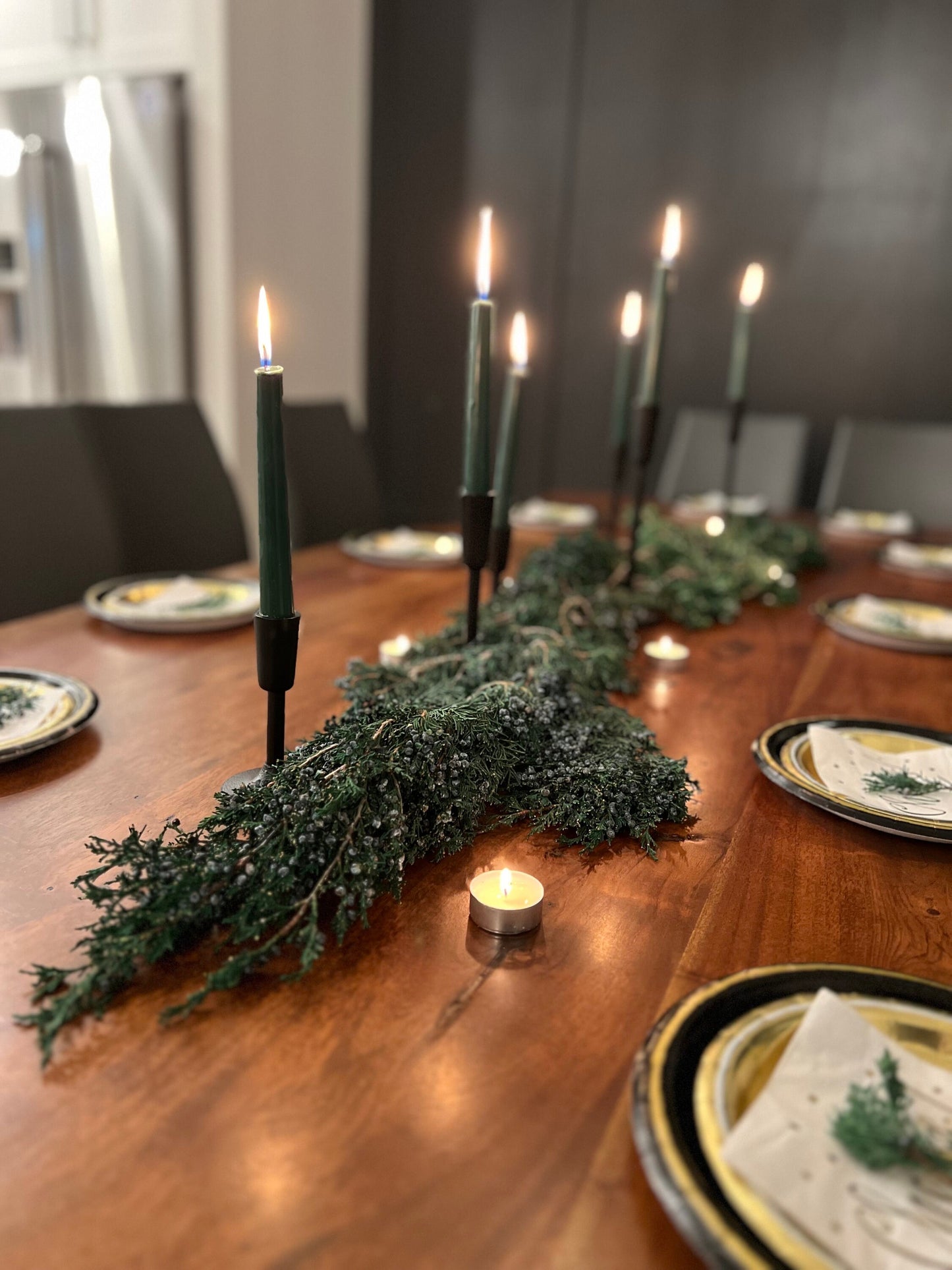 Juniper, Winter Greenery, Christmas Leaves, Winter, Fern, Preserved Flowers, Preserved Greenery, Dried green, Flowers, Seeds, Frost, Winter