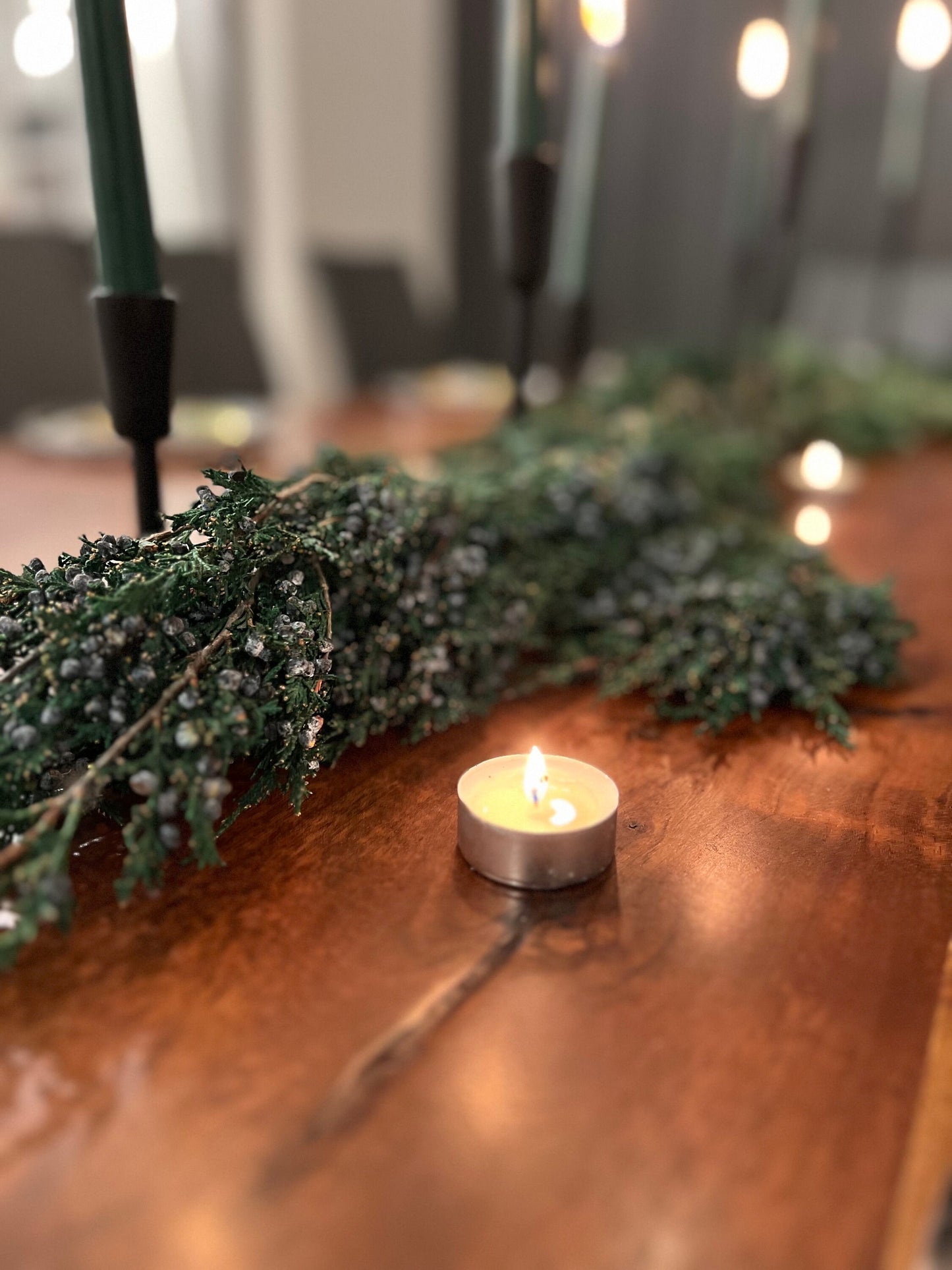 Juniper, Winter Greenery, Christmas Leaves, Winter, Fern, Preserved Flowers, Preserved Greenery, Dried green, Flowers, Seeds, Frost, Winter