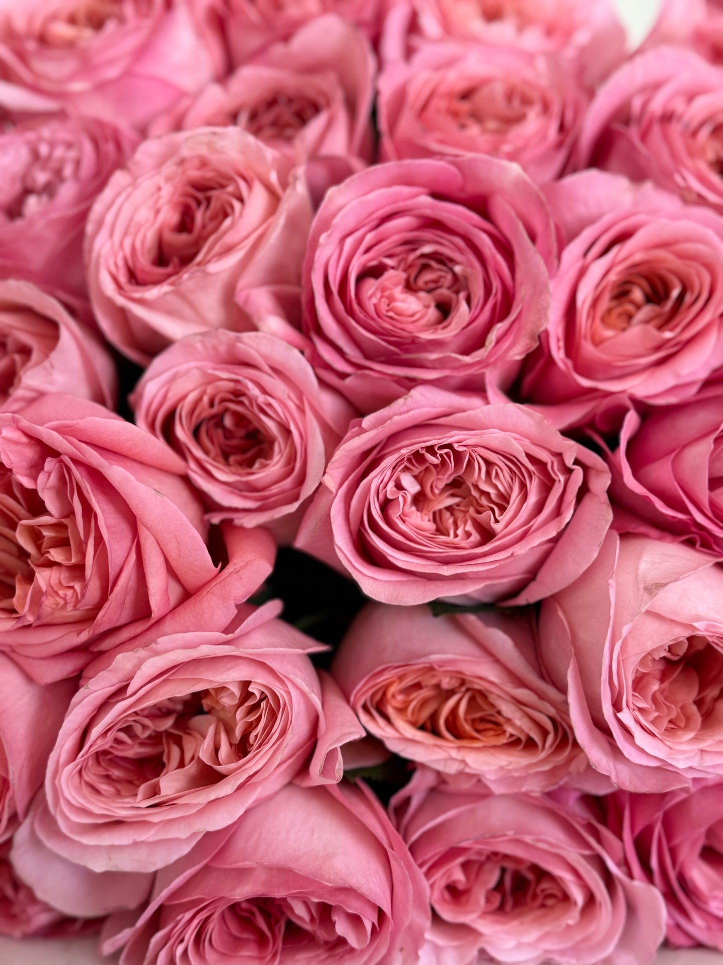 Garden Dream - Fresh Seasonal Flowers Bouquet