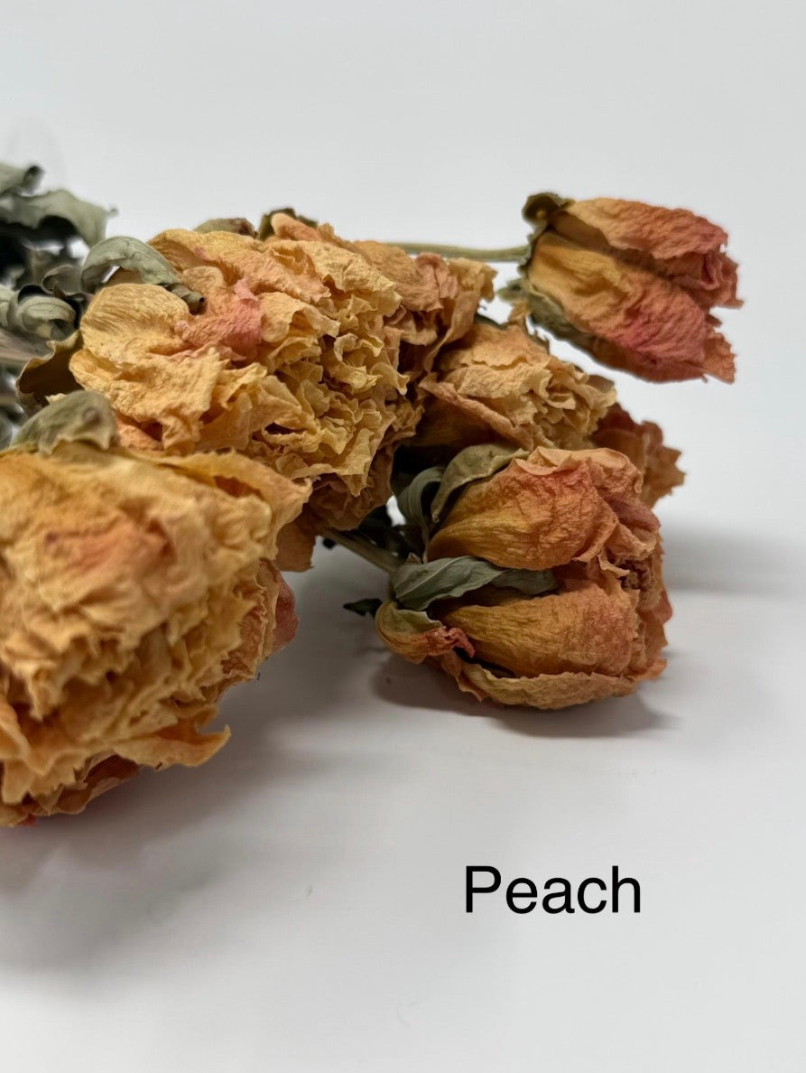 Dried Peony Blooms – Pink, Burgundy, Cream, Beige, Nude – Wedding Bouquets, Bridal Flowers, DIY Décor, Rustic Centerpieces, Home Décor
