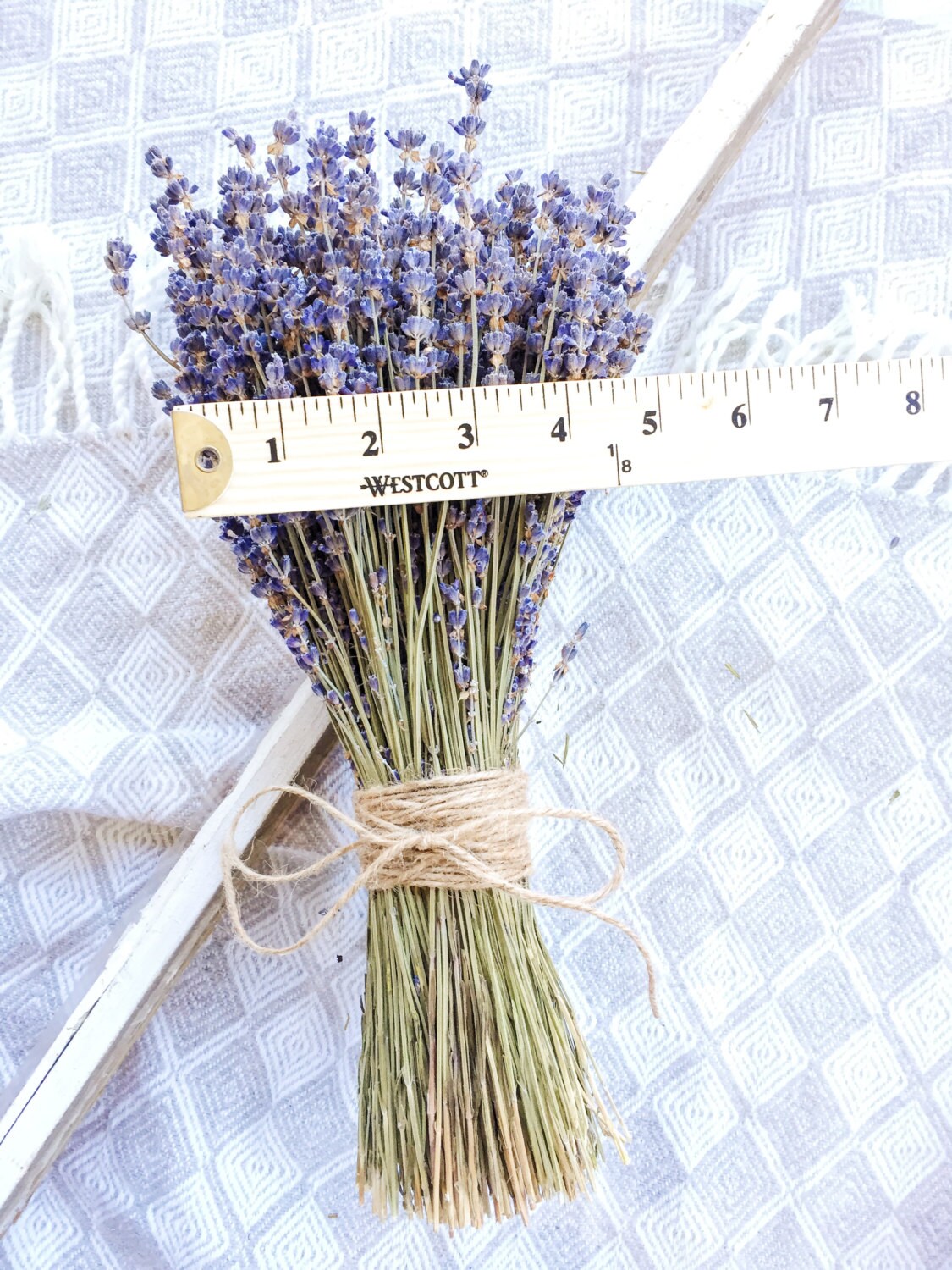 Dried English Lavender Bunch 200-250 Stems 3 Oz Preserved 