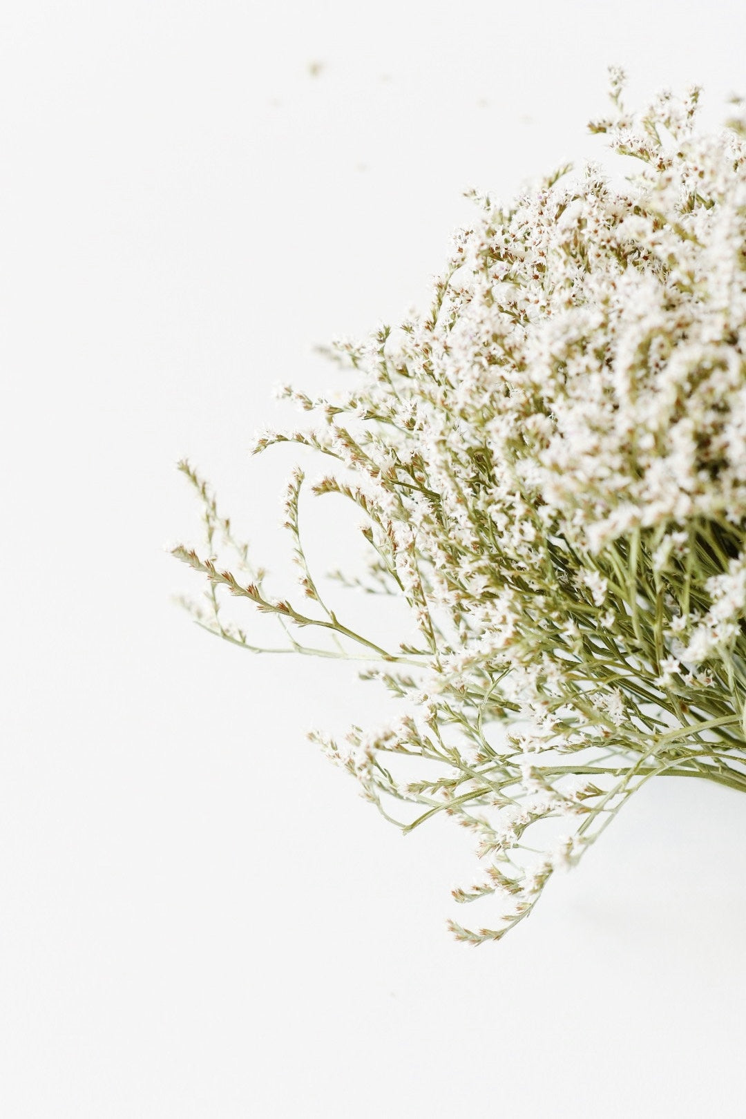 German Statice, Dry Flowers, White, Green, Wedding Bouquet, Floral Supply, Home Decor, Dried Wreath, Wildflowers Bunch, Farmhouse, Star