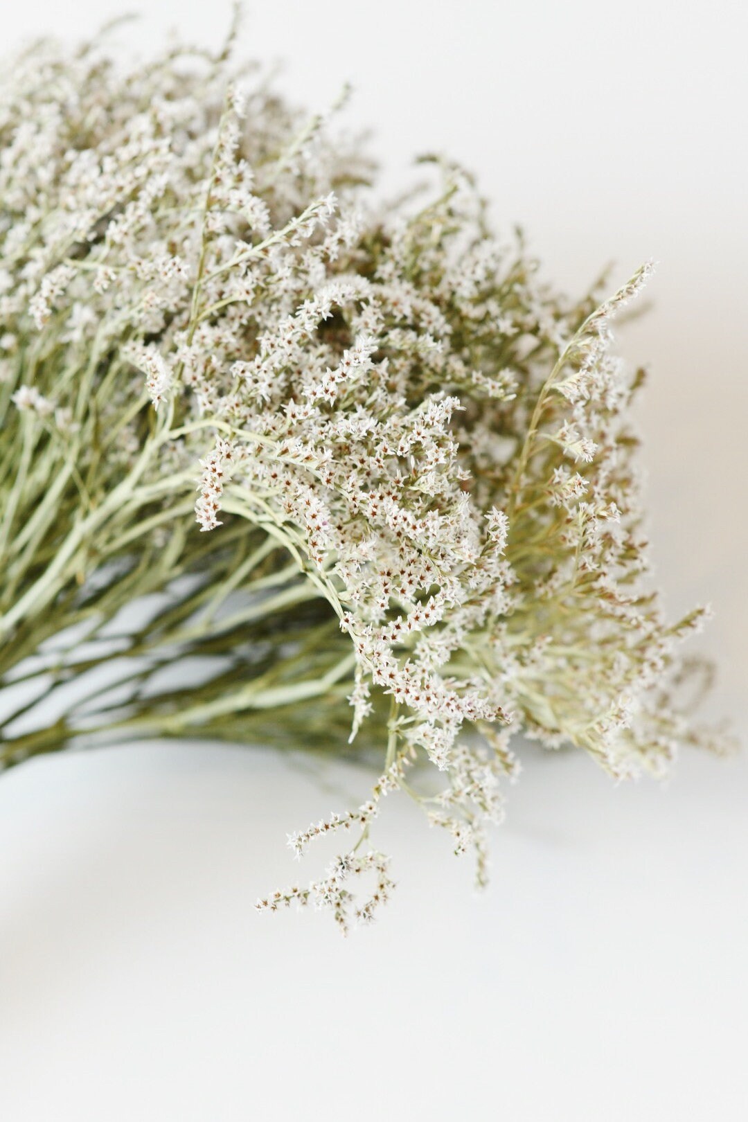 German Statice, Dry Flowers, White, Green, Wedding Bouquet, Floral Supply, Home Decor, Dried Wreath, Wildflowers Bunch, Farmhouse, Star