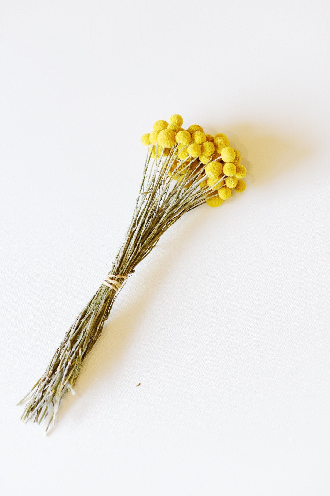 Dried Billy Balls, Craspedia Bunch, Drumstick Flower, Yellow Flowers, Dry Floral, Wedding Bouquet, Modern, Country Rustic Floral Arrangement