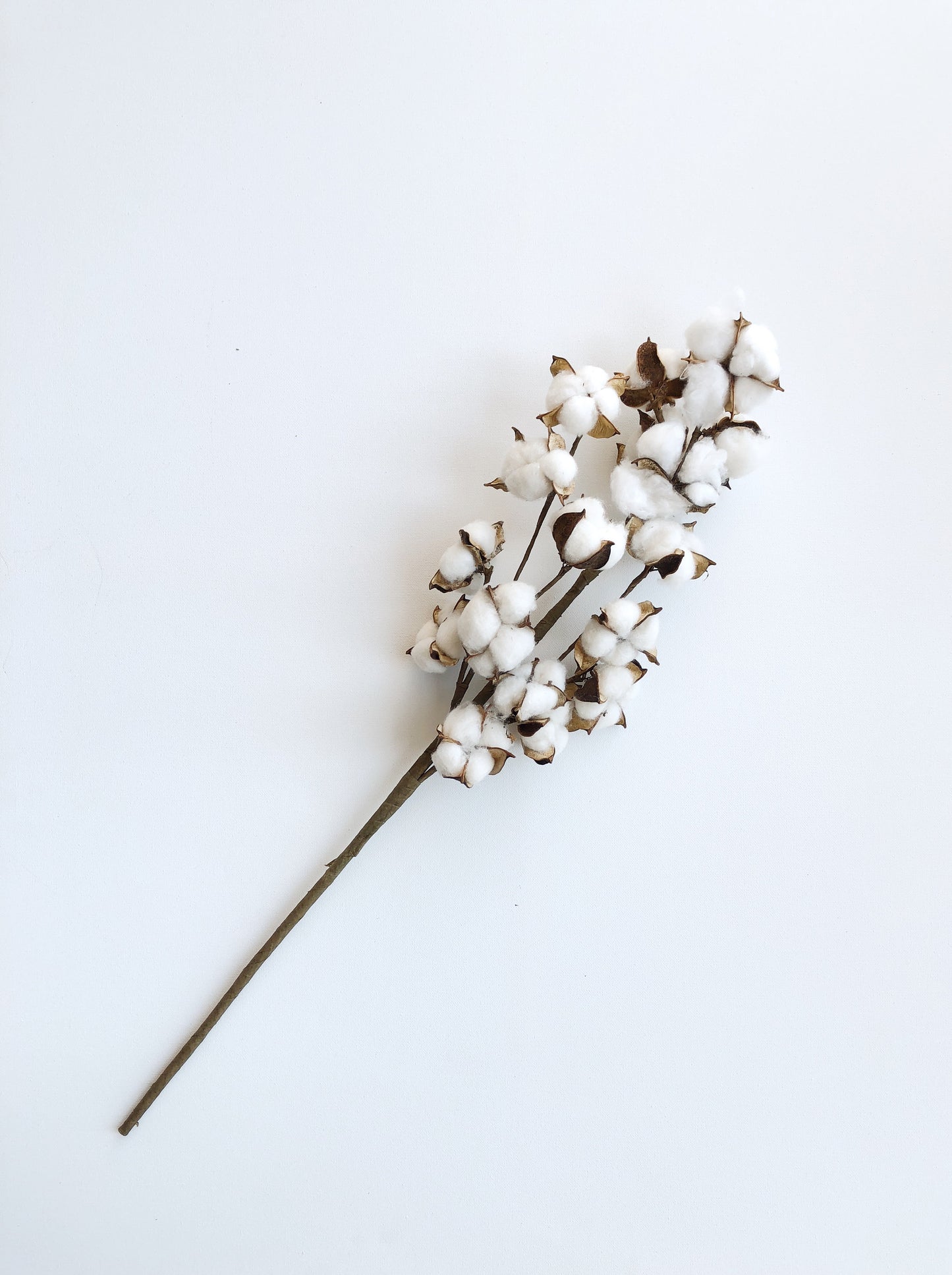 13" 18" 31" Cotton Stem, Cotton Balls, Branches, Bunch, Wedding, Rustic, Country, DIY, Flowers, Floral, Anniversary, Farmhouse, stems, white
