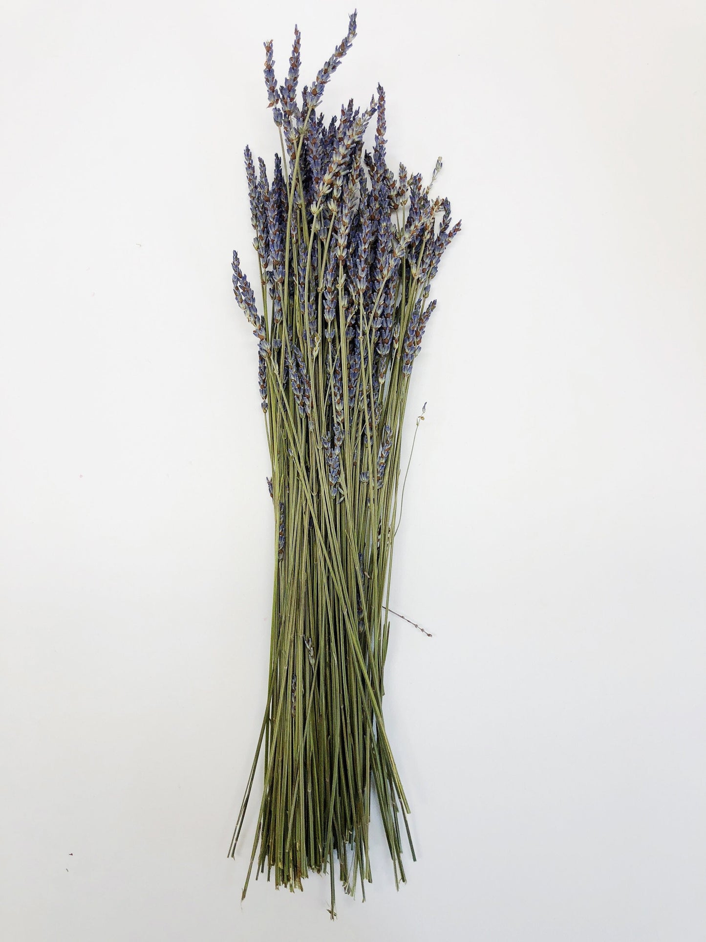 French Lavender, Preserved Flowers, Dried Flower, Lavender, Long Stems, Dried Lavender, Bundles, Wedding, Home Decor, Floral, Flowers