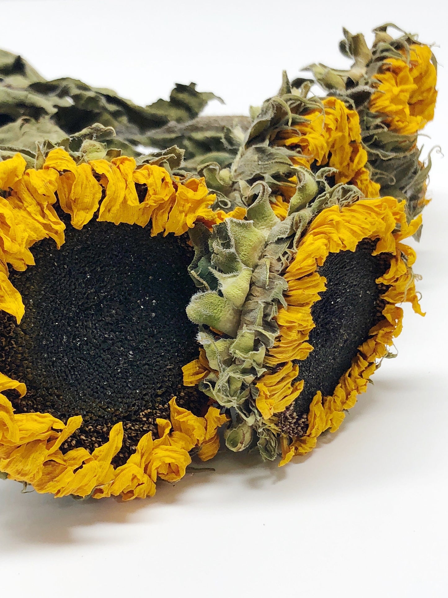 Dried Sunflowers, Sunflowers, Yellow, Orange, Summer Flowers, Preserved Flowers, Wedding Bouquet, Country, Dried Flowers, Rustic, Helianthus