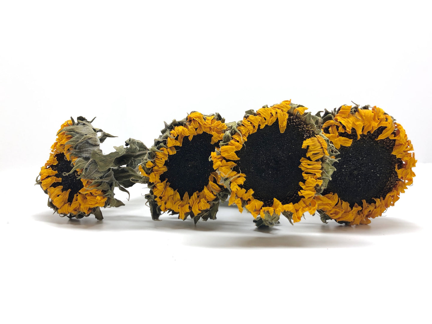 Dried 6 Sunflowers – Rustic Yellow & Orange Preserved Flowers for Country Weddings and Home Decor