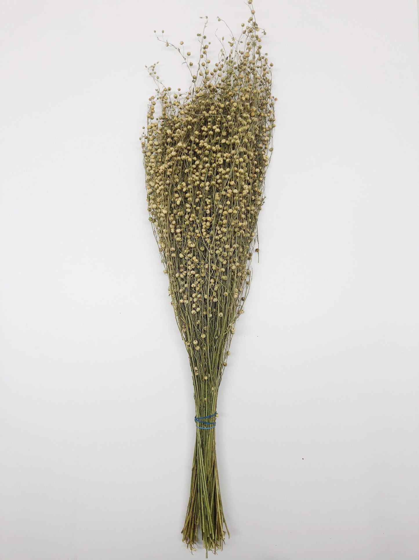 Flax, Dried Wheat, Yellow, Grain, Field, Filler Flowers, Wedding Flowers, Floral Arrangements, Country Style, Round, Wild Flowers