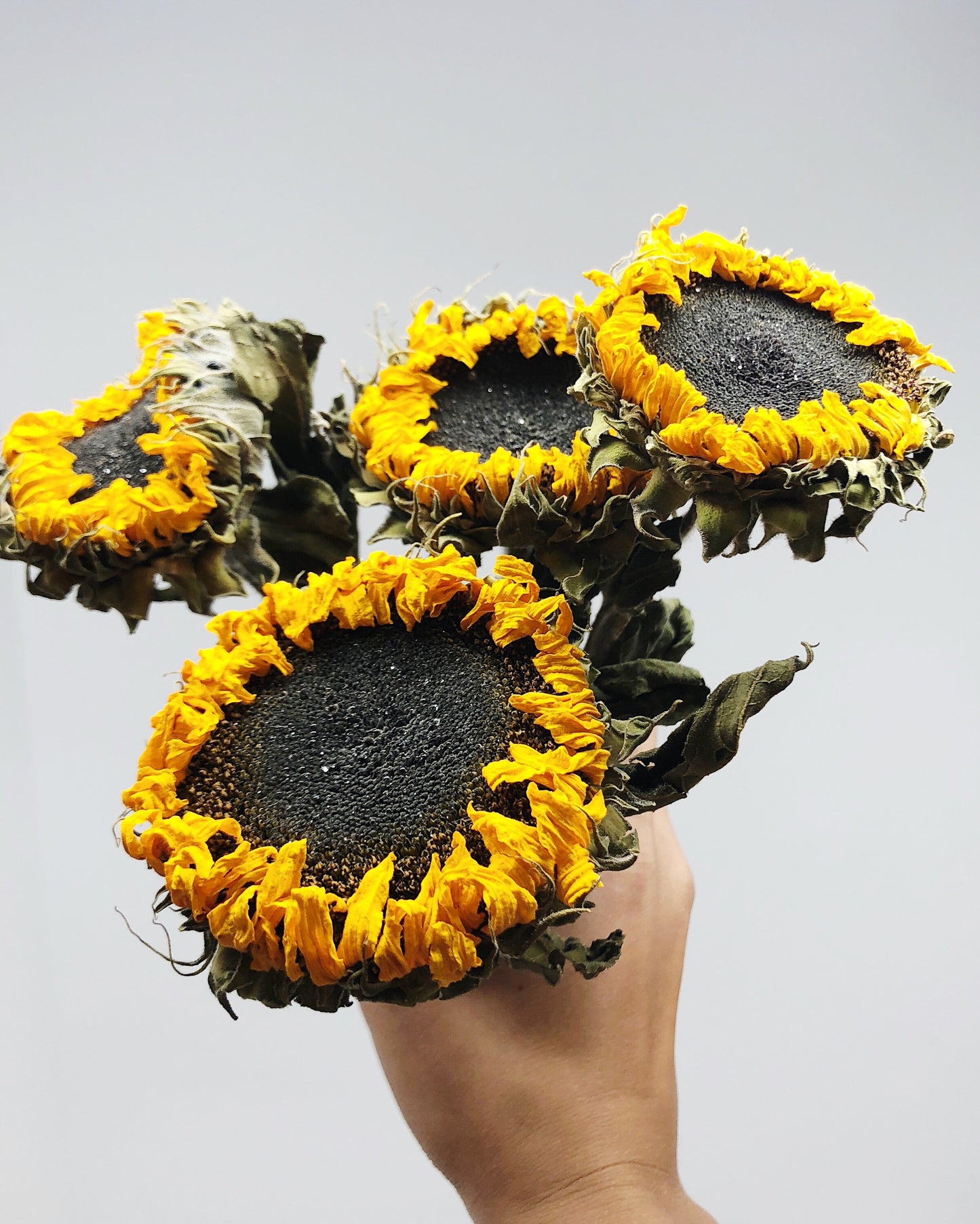 Dried Sunflowers, Sunflowers, Yellow, Orange, Summer Flowers, Preserved Flowers, Wedding Bouquet, Country, Dried Flowers, Rustic, Helianthus