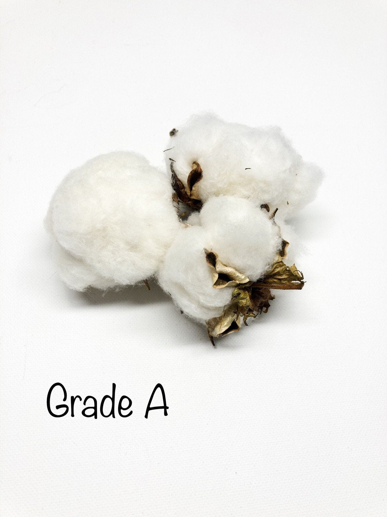 6 Cotton Heads, Natural, Dried, Wreath DIY, White Flower, Photography Props, Balls, Cotton Branch, Fall, Favors,