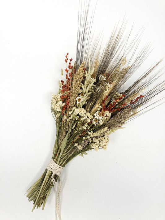 Fall Wedding Bouquet, Fall Collection, Wheat, Grass, Millet, Broom Corn, Oats, Red, Burgundy, Beige, White, Simple, Gentle, Elegant