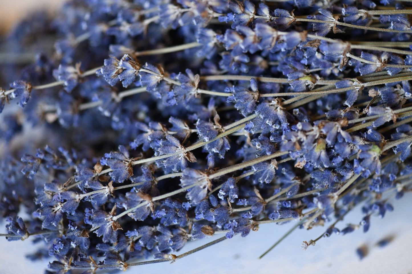 Dried English Lavender Bunch, 200-250 Stems, 3 oz Preserved for Longevity, Blue Purple Color, Fragrant and Beautiful for Weddings Home Decor