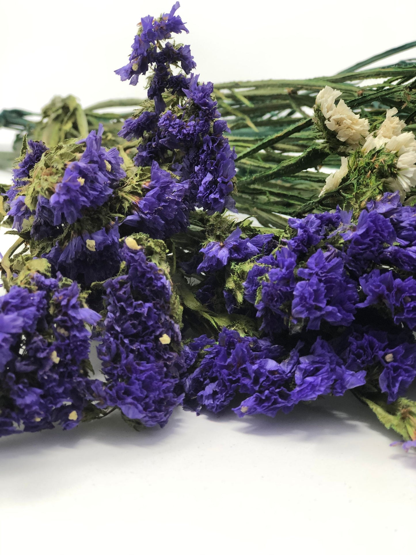 Sinuata Statice, Limonium Sinuatum, Pink, Rose, Blue Statice, Blue, White, Dried, Preserved Flowers Real Flowers Wedding Flowers Bouquet
