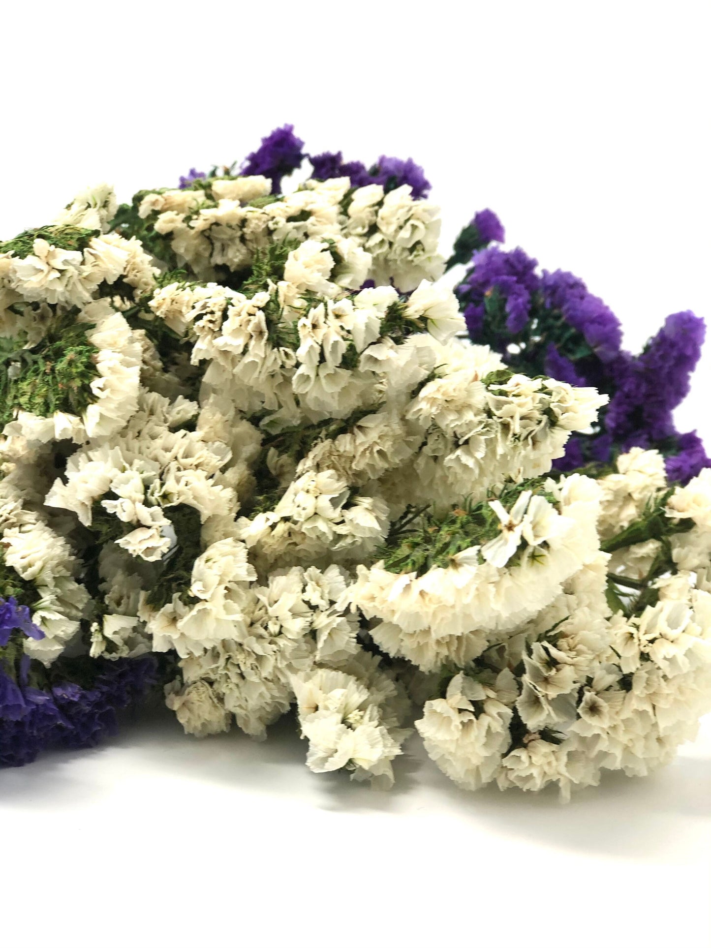 Sinuata Statice, Limonium Sinuatum, Pink, Rose, Blue Statice, Blue, White, Dried, Preserved Flowers Real Flowers Wedding Flowers Bouquet