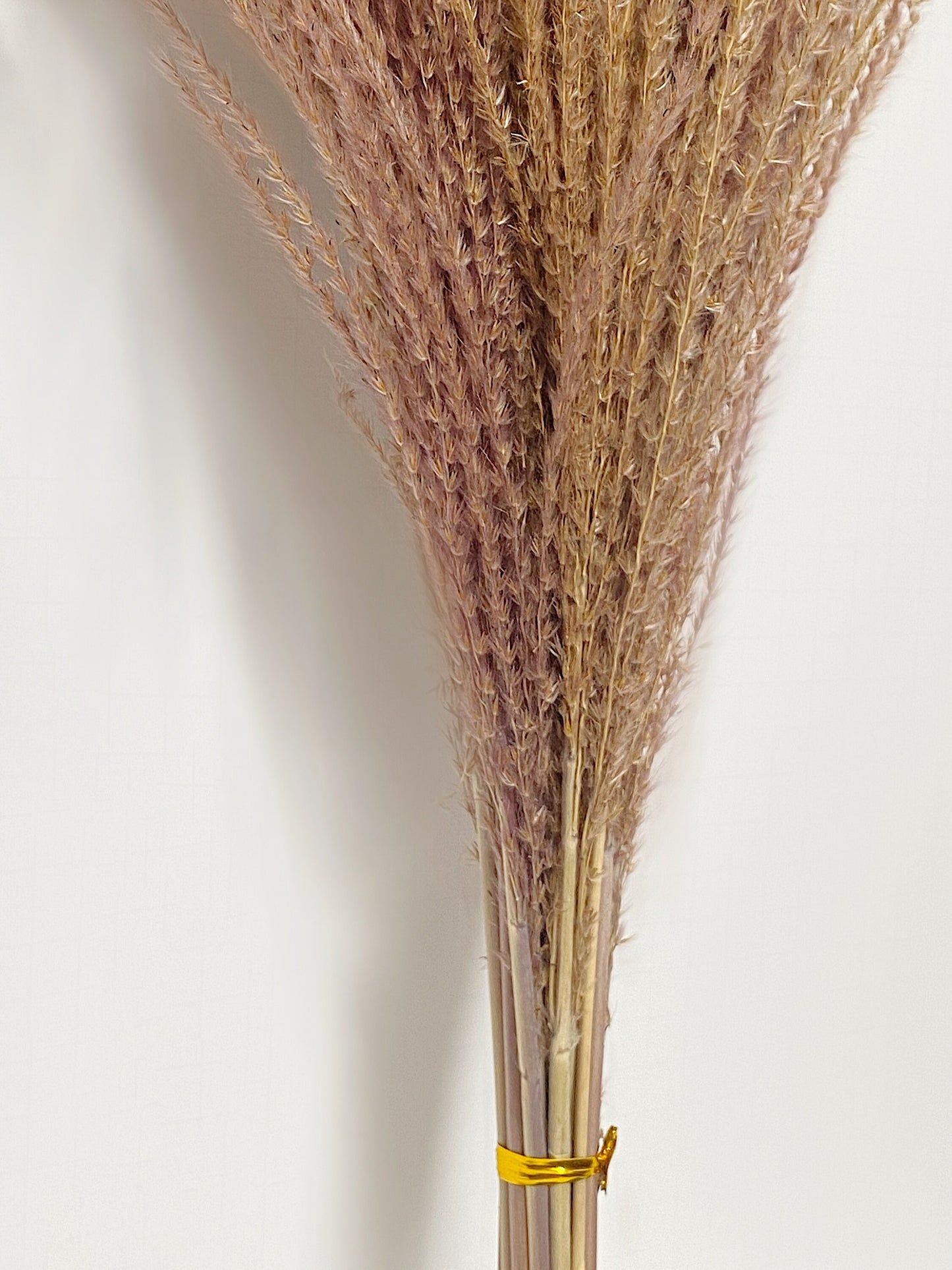 Pampas Grass Horsetail Whisk, Preserved Flowers, House Decor, Wedding, Pampas, Fluffy, Natural, Fall, Feather, Wheats and Grass, Short, Long