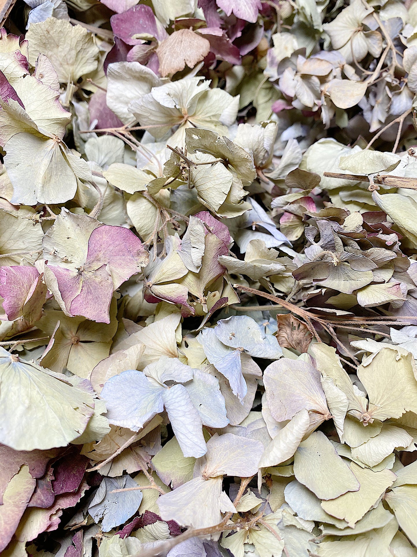 Hydrangea Confetti, Potpourri, Dried Petals, Wedding, Filler, Dried Flowers, Decor, Green, Blue, Burgundy, Arts and Craft, Wildflowers