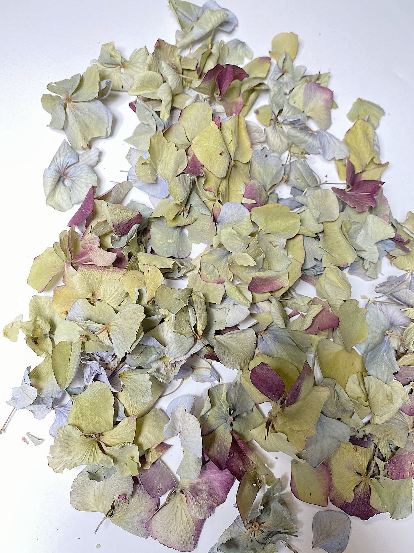 Hydrangea Confetti, Potpourri, Dried Petals, Wedding, Filler, Dried Flowers, Decor, Green, Blue, Burgundy, Arts and Craft, Wildflowers