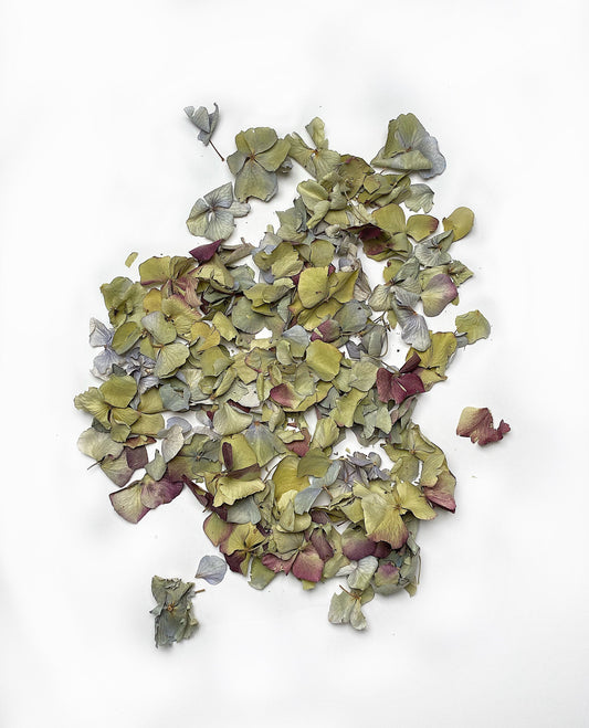 Hydrangea Confetti, Potpourri, Dried Petals, Wedding, Filler, Dried Flowers, Decor, Green, Blue, Burgundy, Arts and Craft, Wildflowers