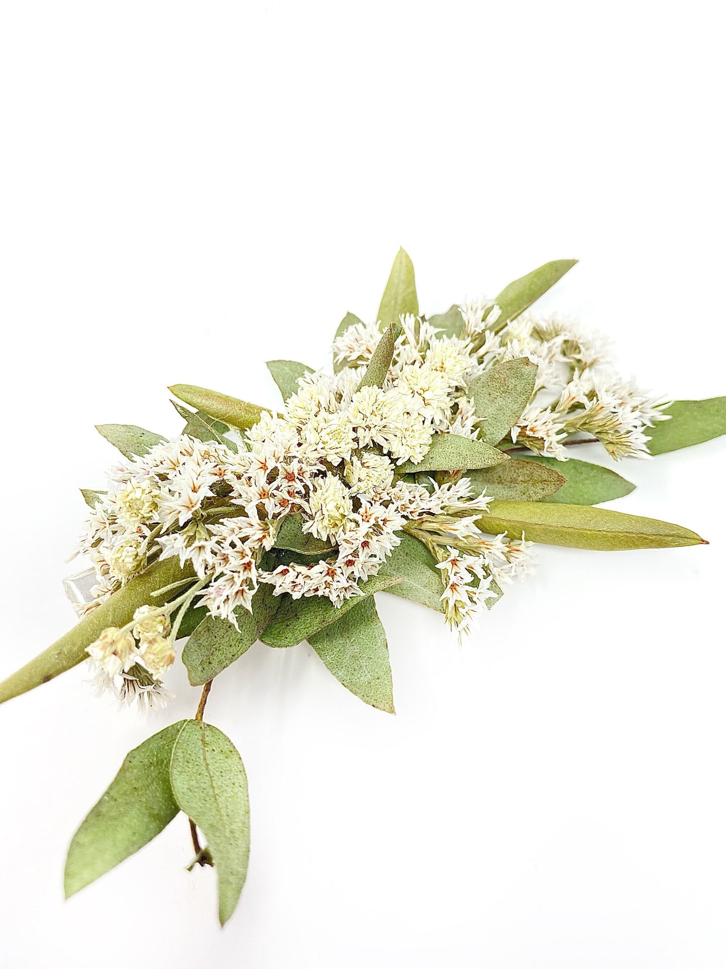 Hair Clip, Dried Flowers, Bridal, Hair Accessories, Wedding Accessories, Greenery, Achillia of Pearl, White and Green
