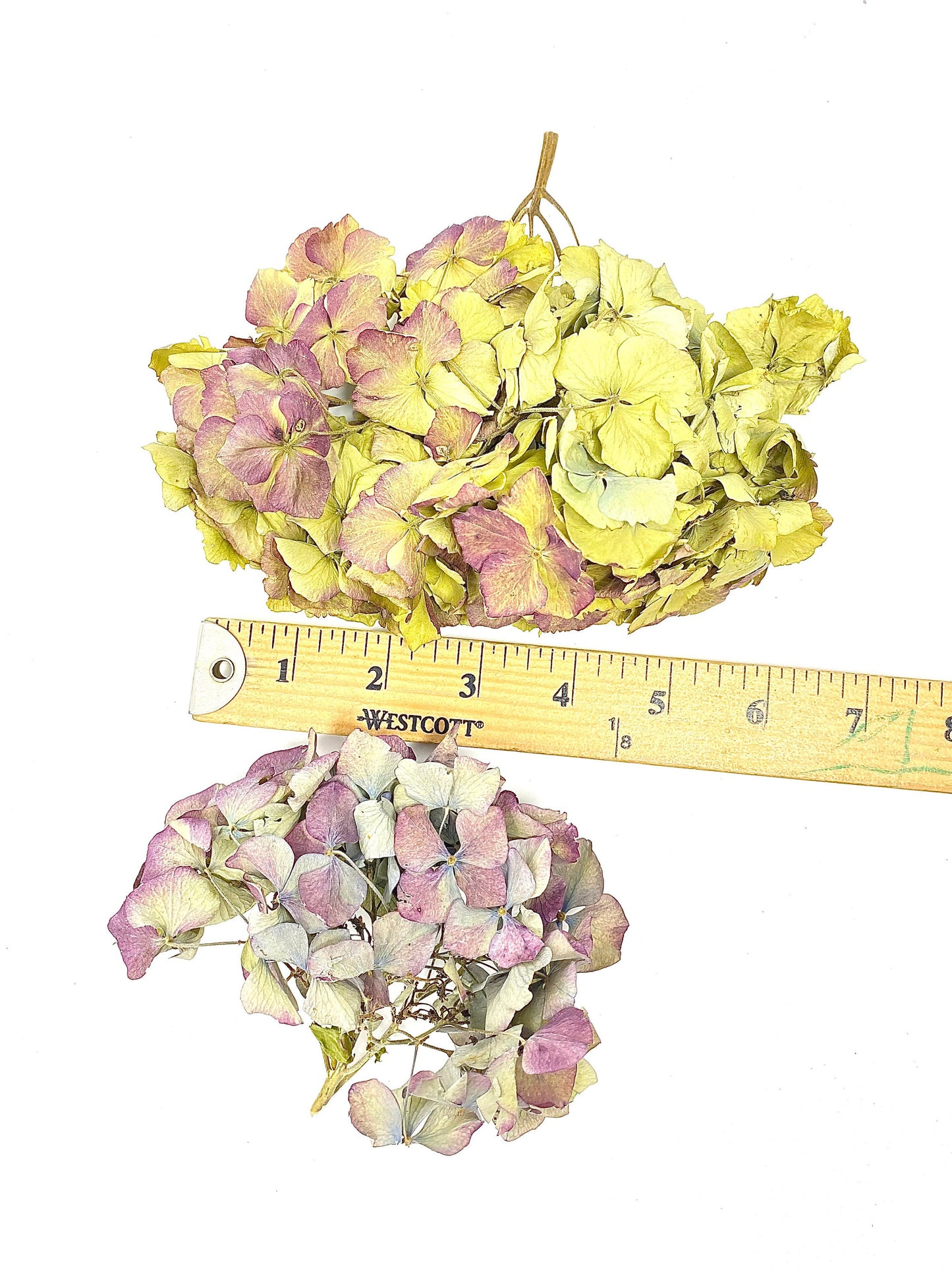 Dried Hydrangea Flat Heads, Stemless hydrangea, Dry Flowers, Blue, Green, Purple, Natural, Wedding, Bouquet, Bridal, DIY, Photo Promps, Mix