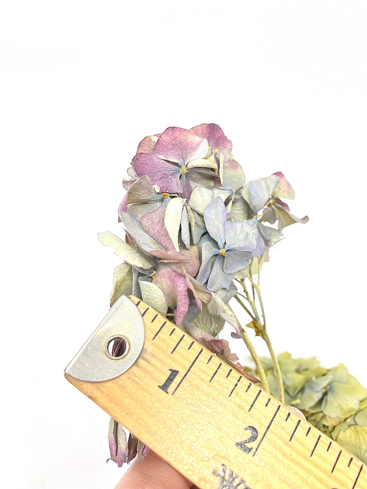 Dried Hydrangea Flat Heads, Stemless hydrangea, Dry Flowers, Blue, Green, Purple, Natural, Wedding, Bouquet, Bridal, DIY, Photo Promps, Mix