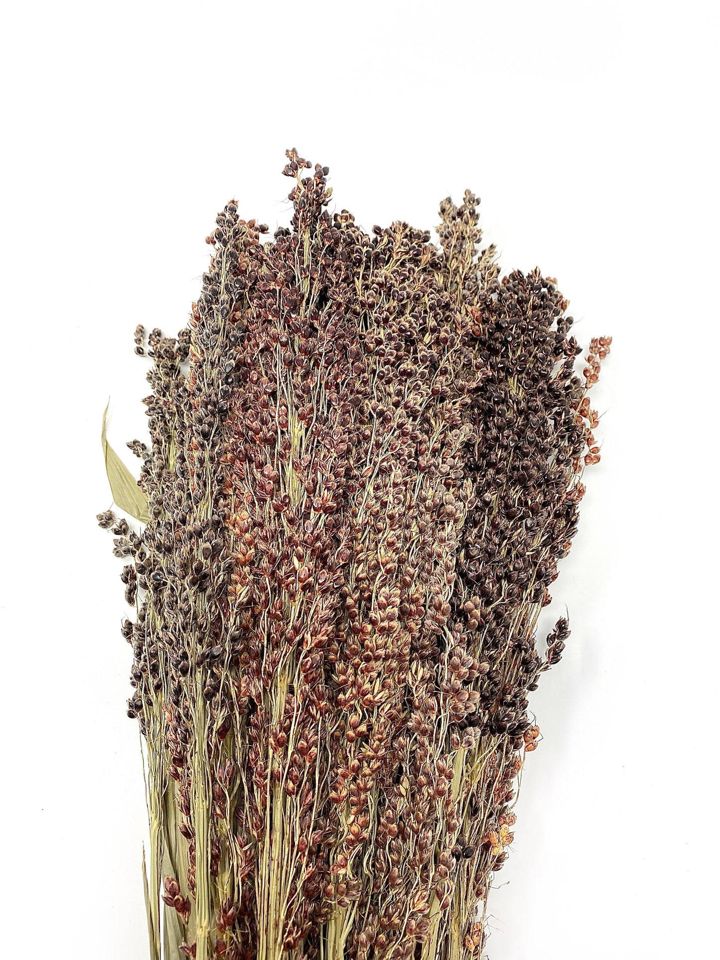 Black Sorghum, Preserved Wheat, Preserved Flowers, Dried Wheat, House Decoration, Wedding Flowers, Country Style, Black, Wheats and Grass