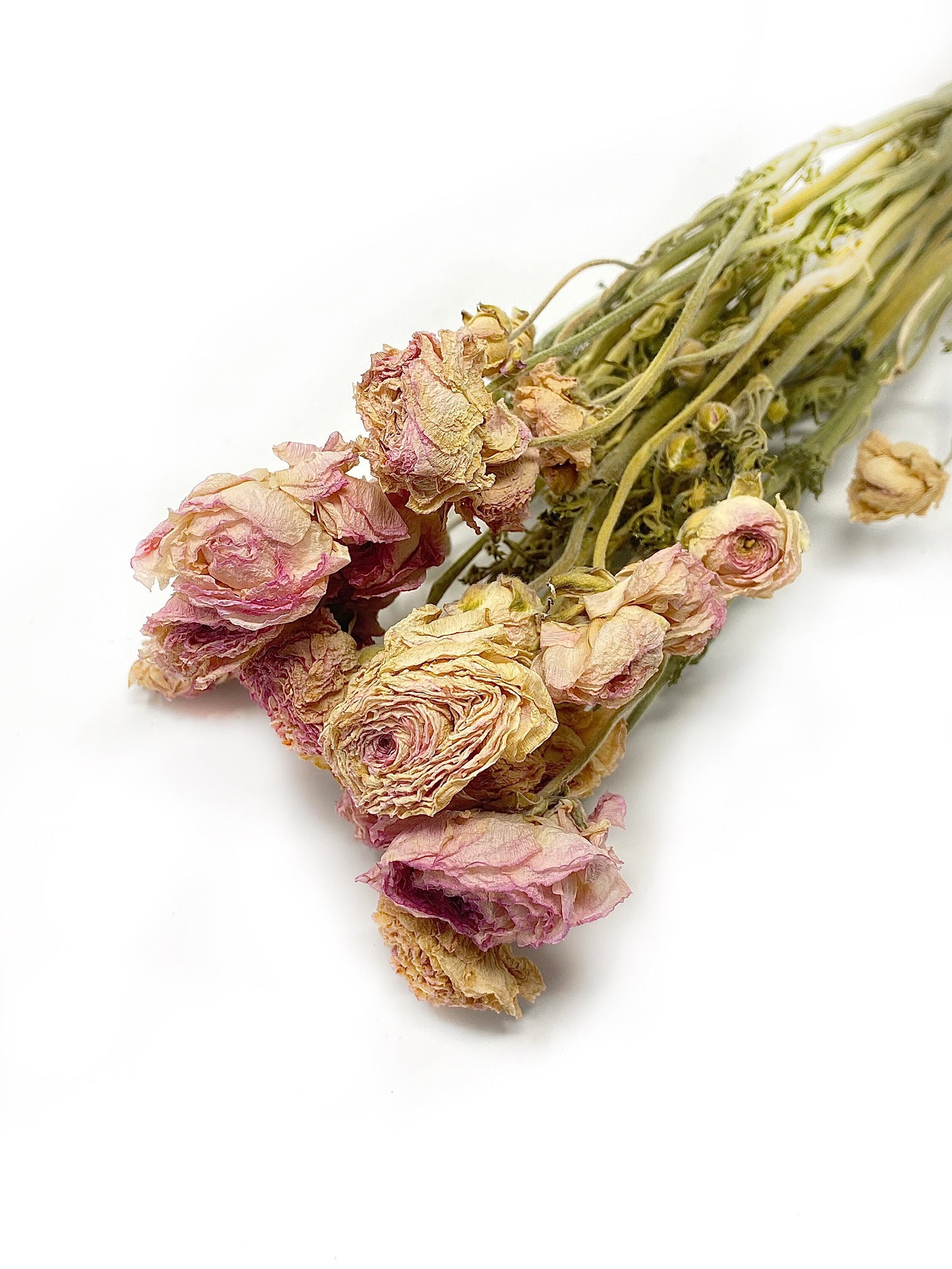 Ranunculus, Dried Flowers, Light, Pink, White, Orange, Wedding Bouquets, Bridal flowers, Natural, Wedding Florals